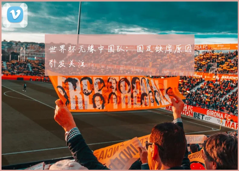 世界杯无缘中国队：国足缺席原因引发关注
