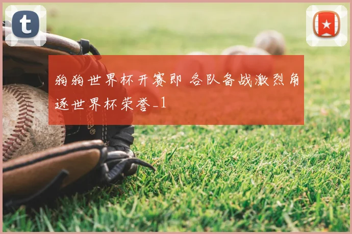 狗狗世界杯开赛即 各队备战激烈角逐世界杯荣誉_1