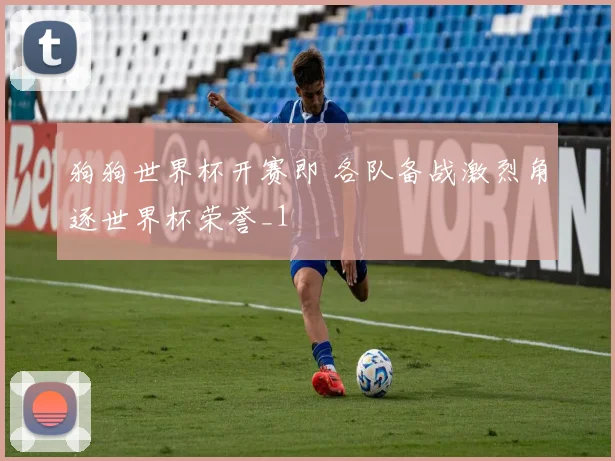 狗狗世界杯开赛即 各队备战激烈角逐世界杯荣誉_1